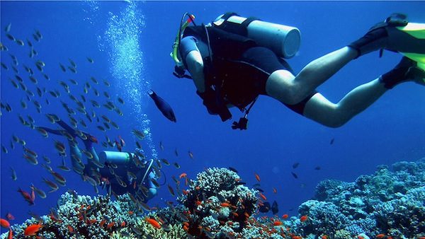 Diving and Snorkeling di Pulau Menjangan edited 1