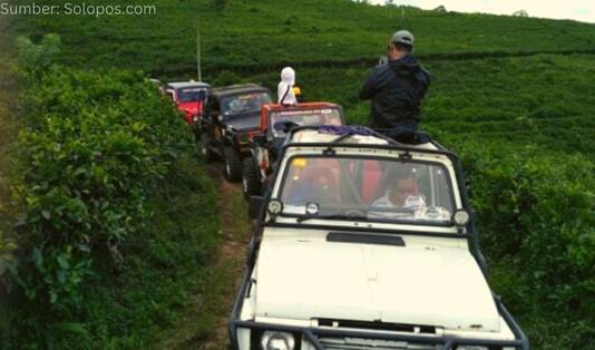 Kebun Teh Kemuning Karanganyar, Jeep Karanganyar, Offroad Karanganyar, Wisata Jeep Karanganyar, Karanganyar, Jawa Tengah, Solo
