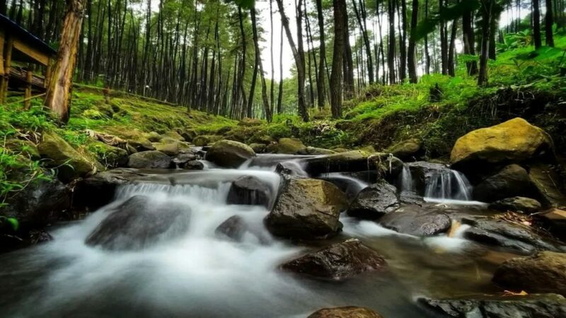 5 Aktivitas Menarik Di Klurak Eco Park Pacet Pigiblog