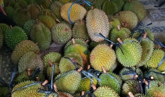 Wisata Durian
