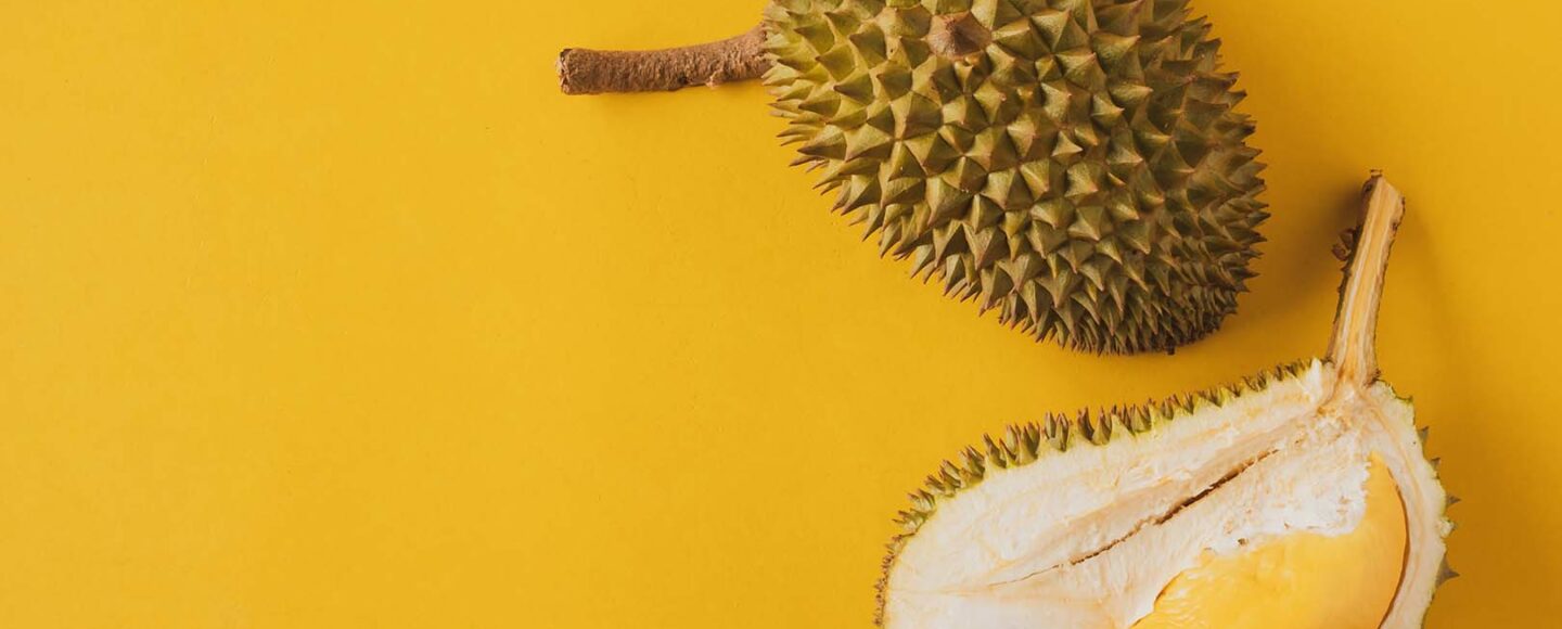 Wisata Durian di Indonesia
