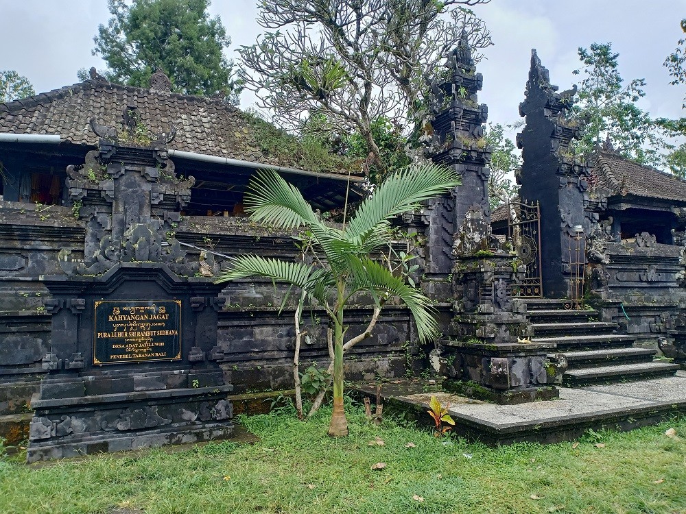 Bosan Mantai, Cobain Ngetrip Syahdu di Desa Jatiluwih Bali