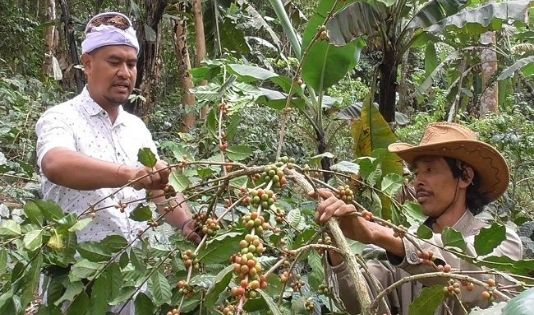 Hobi Ngopi? Cobain trip ke kota penghasil kopi terbaik di Indonesia
