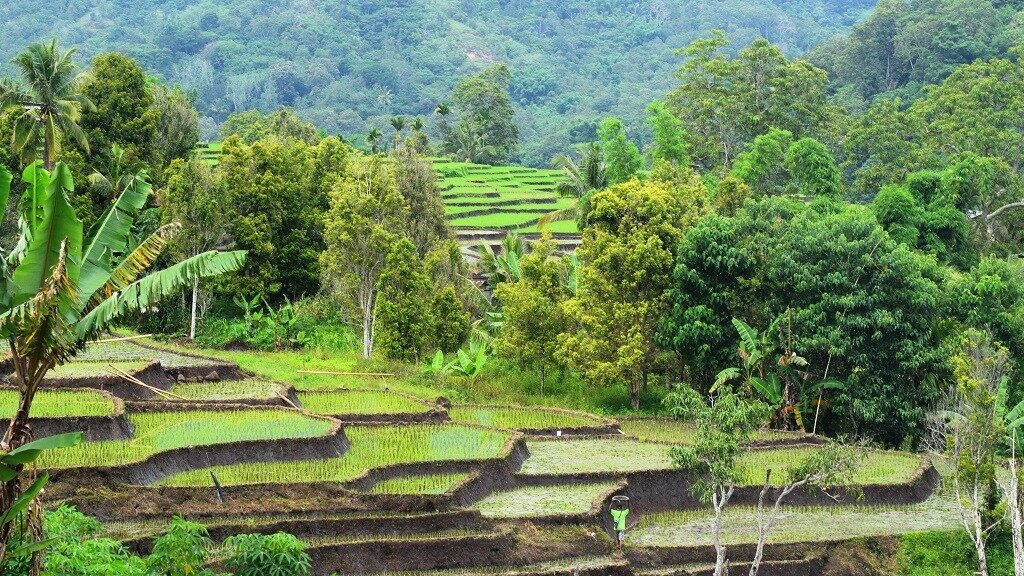 Dua Desa di Flores Berhasil Raih Penghargaan Anugerah Desa Wisata Indonesia 2021