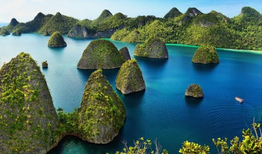 Local experience, Indonesia, destinasi wisata, Kawanjo, Destinasi Ekowisata, Ekowisata, fakta ekowisata, liburan, ngetrip,