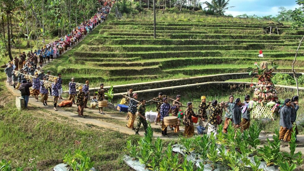 Ritual panen Unik yang ada hanya di Indonesia