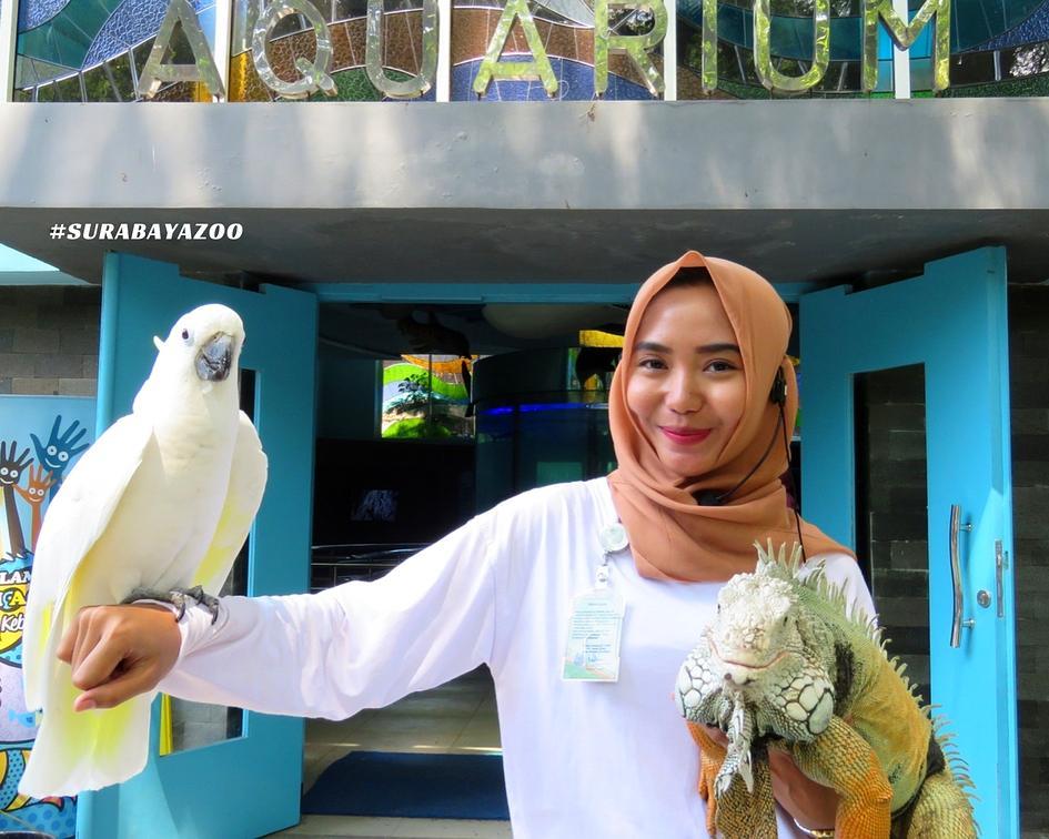Wisata Surabaya Hits 2022, wisata kbs surabaya, keeper cantik KBS surabaya