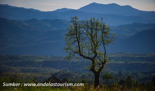 wisata Tapanuli Selatan Gunung Sibual buali