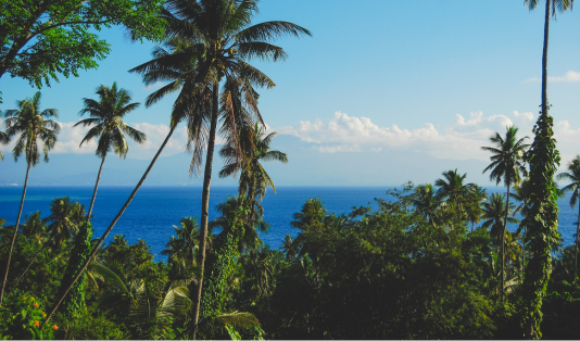 bunaken, paket wisata bunaken,