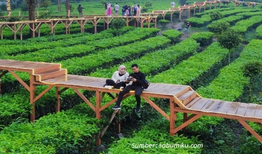 wisata kebun teh di Jawa Barat, Wisata Kebun Teh Gunung Mas Bogor