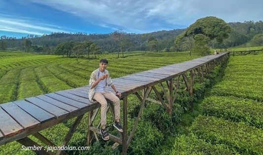 wisata kebun teh di Jawa Barat, Wisata Kebun Teh Riung Pangalengan