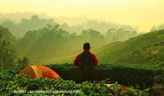 wisata kebun teh di Jawa Barat, Wisata Kebun Teh Sukawana Lembang
