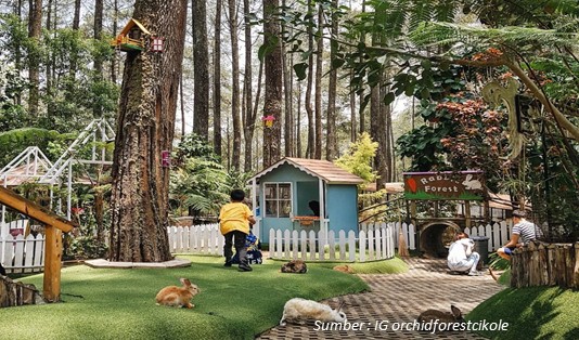 Rabbit House Glamping Orchid Forest Bandung