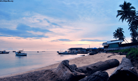 Destinasi Wisata Melihat Lumba-Lumba di Indonesia