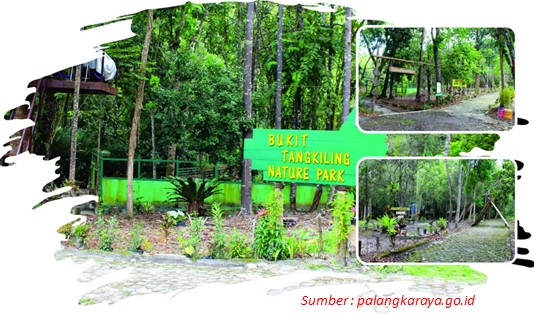 Destinasi Wisata di Palangkaraya Bukit Tangkiling