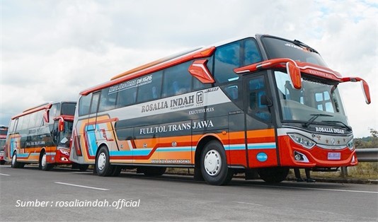 Sleeper Bus Jakarta-Surabaya, Sleeper Bus di Indonesia PO Rosalia Indah