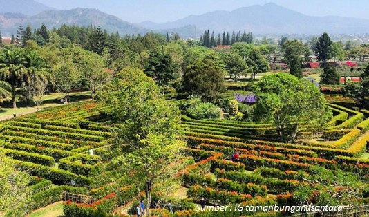 Deskripsi Taman Bunga Nusantara