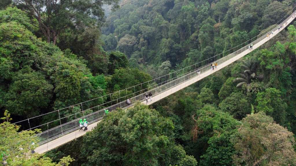 Serbu! One Day Trip Suspension Bridge Situ Gunung Gak Sampai 300 Ribu