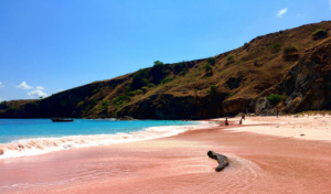 pink beach, labuan bajo, nusa tenggara barat, 