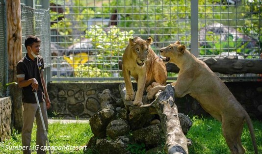 Alamat Central Park Zoo Medan