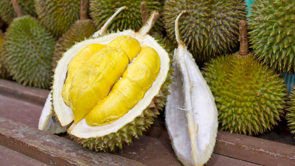 durian,