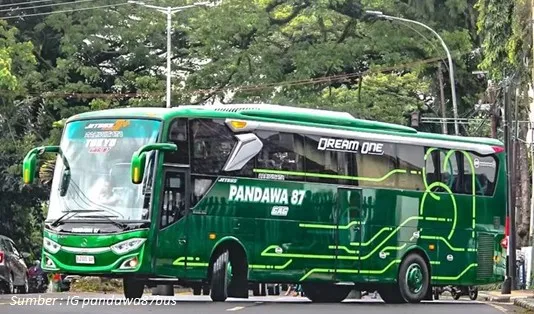 Sleeper Bus Pandawa 87, sleeper bus pariwisata