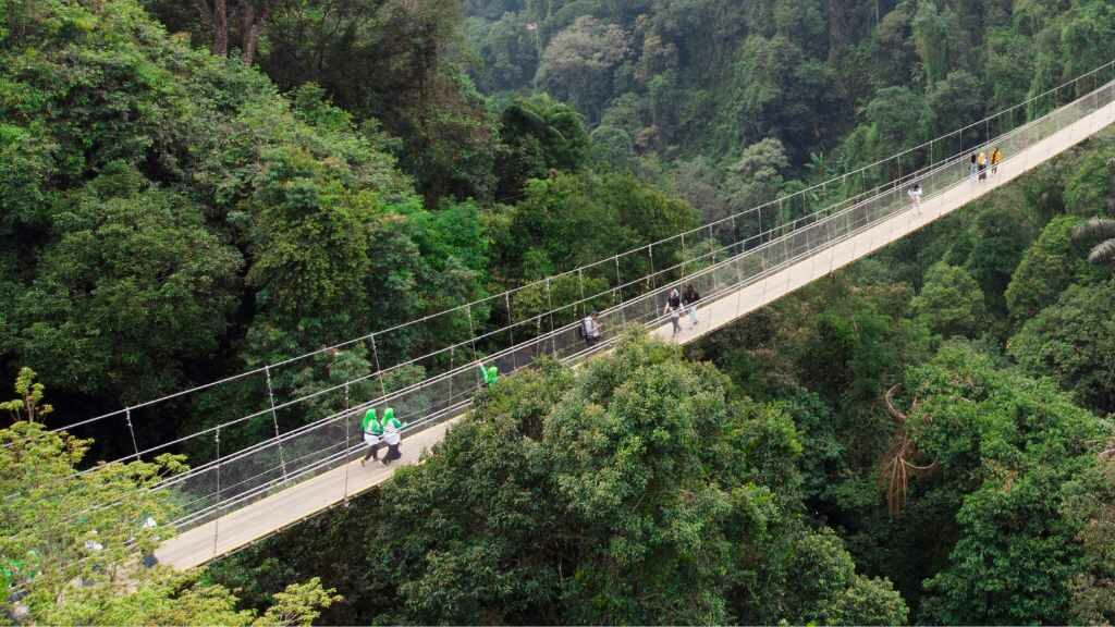 Tak Perlu Ngeri, Ini 5 Alasan Wisata ke Jembatan Gantung Situ Gunung Sukabumi