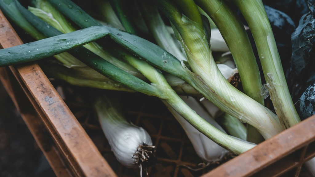 Manfaat Daun Bawang dan Seledri