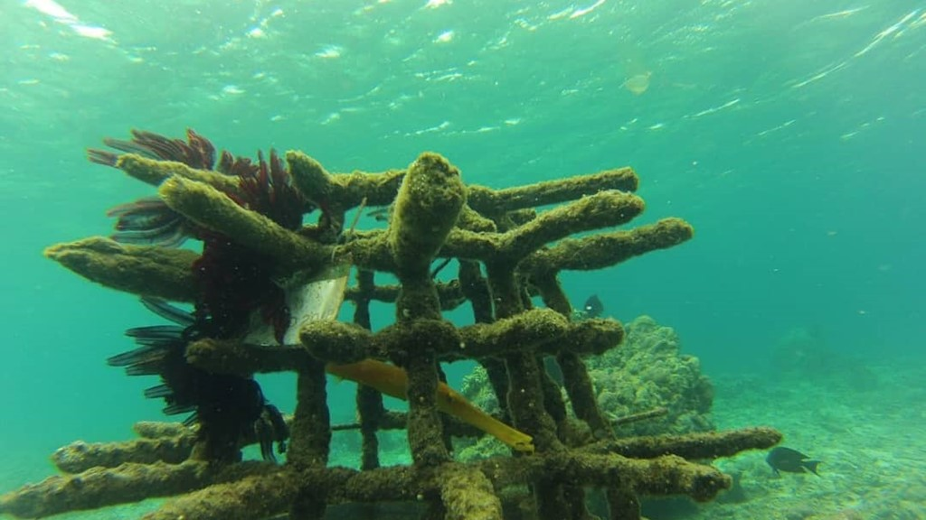 Bangsring Underwater