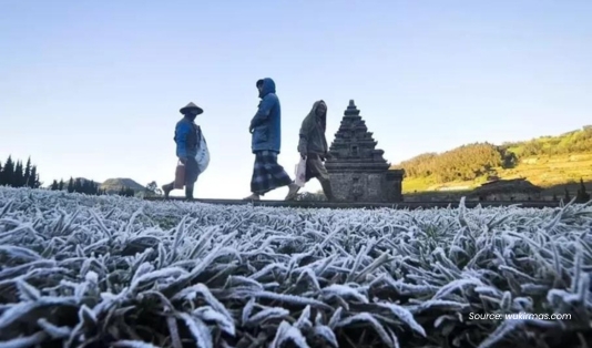 Bun Upas, dieng Beku, Dieng Culture Festival