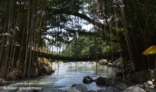 Lokasi Jembatan Akar Bayang