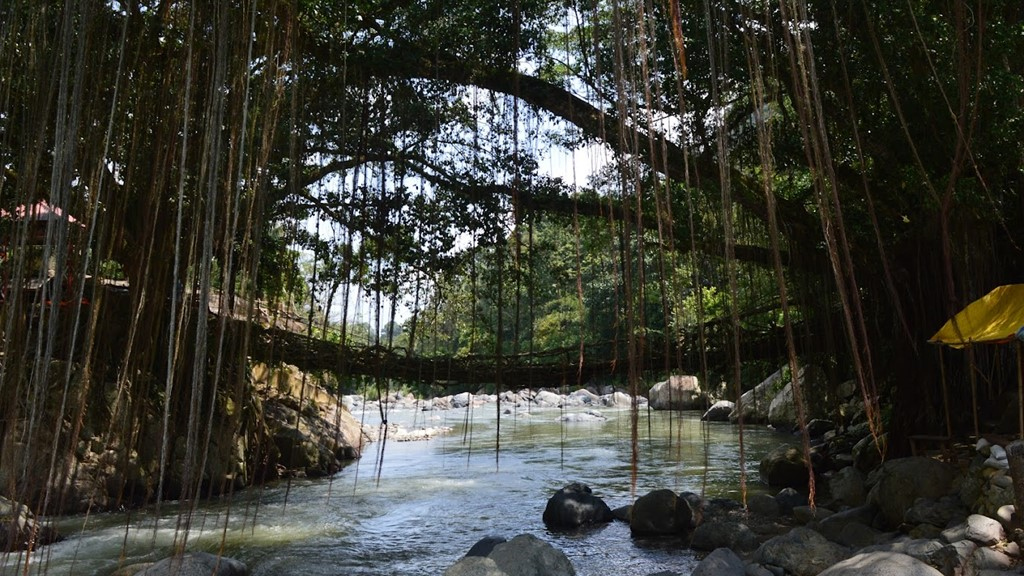 Sejarah Jembatan Akar Bayang