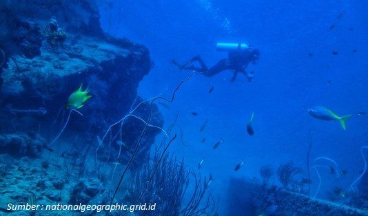 Tempat Wreck Diving di Indonesia Tabularasa Wreck