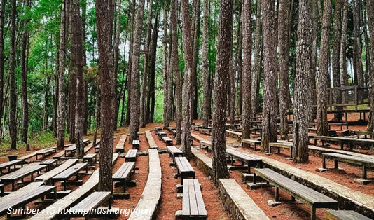 Jam Buka Hutan Pinus Mangunan