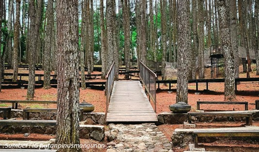 Lokasi Hutan Pinus Mangunan