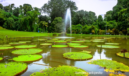 Kebun Raya Bogor