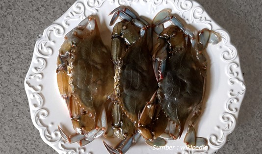 Keunikan Kepiting Soka Khas Balikpapan