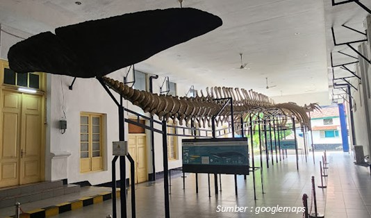 Tempat Hits Dekat Stasiun Bogor Museum Zoologi