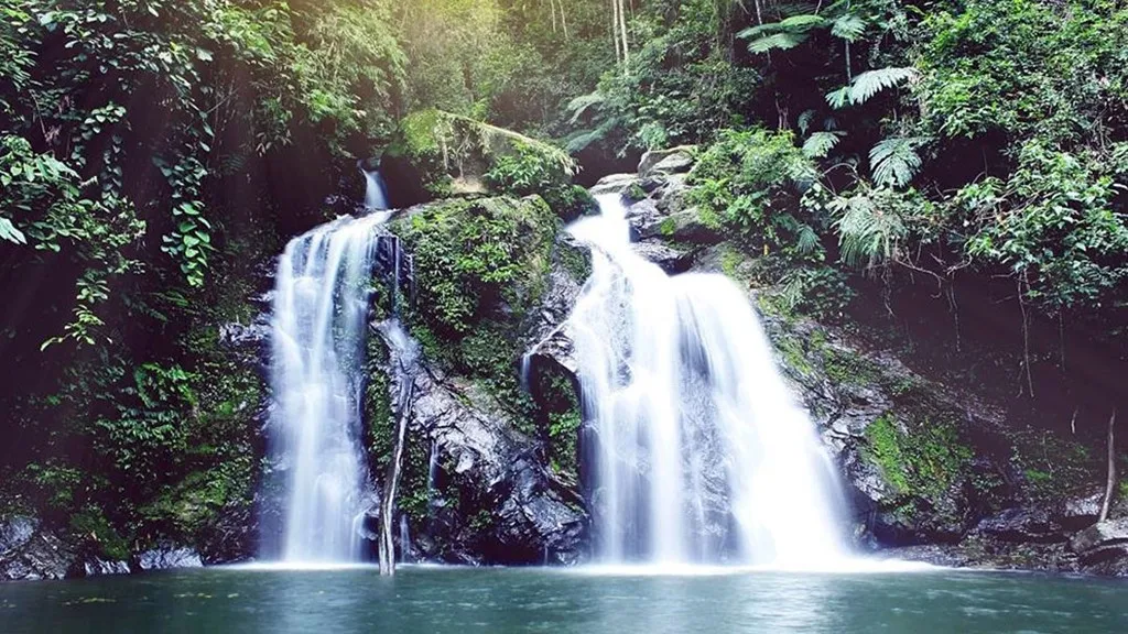 Wisata Lokop Aceh Timur