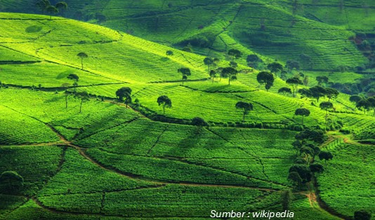 Aktivitas Wisata Petualangan di Pangalengan