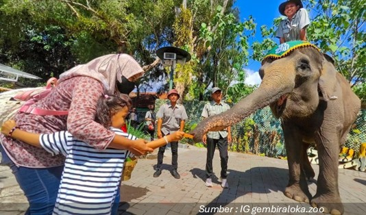 Aktivitas Menarik di Gembira Loka Zoo  Yogyakarta