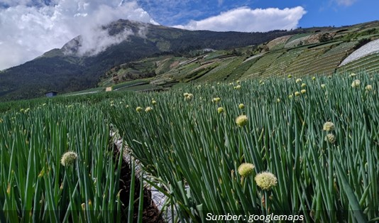  Aktivitas Menarik di Wisata  Negeri Sayur Sukomakmur