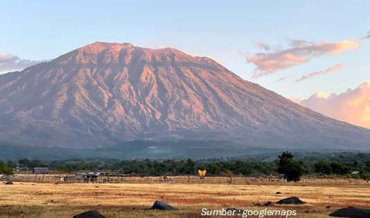 Aktivitas yang Bisa Dilakukan di Savana Tianyar