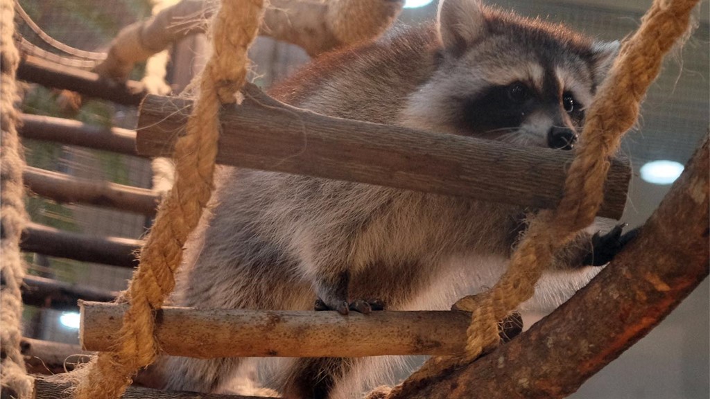 Gembira Loka Zoo Yogyakarta