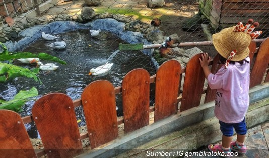 Harga Tiket Masuk Gembira Loka Zoo Yogyakarta