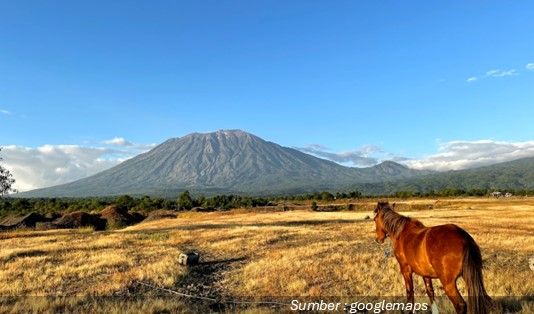 Harga Tiket Masuk Keindahan Savana Tianyar di Bali