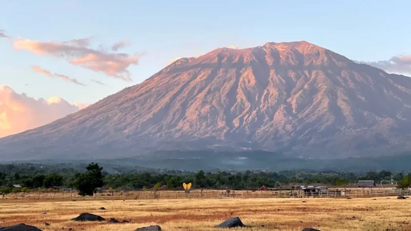 Keindahan Savana Tianyar di Bali