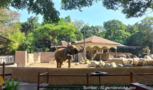 Sejarah Singkat Gembira Loka Zoo