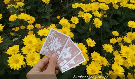 Setiya Aji Flower Farm Destinasi Wisata Keluarga Bandungan Semarang