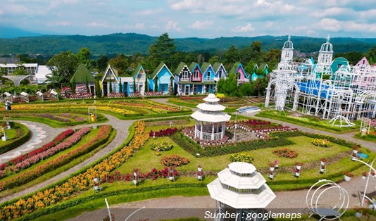 Taman Bunga Celosia